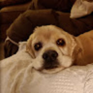 Meet your Posher, Lynn